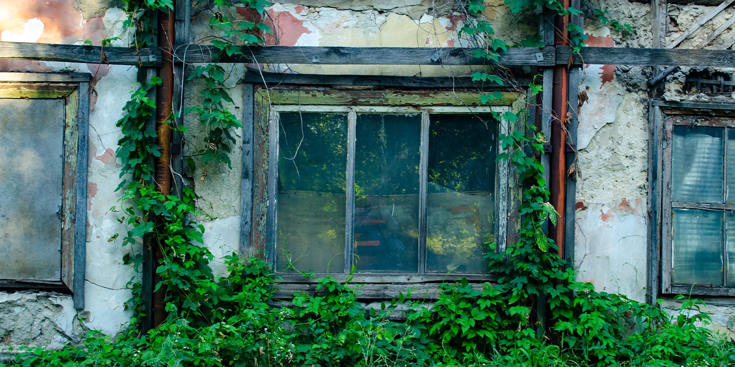 a house with bushes in front of a door